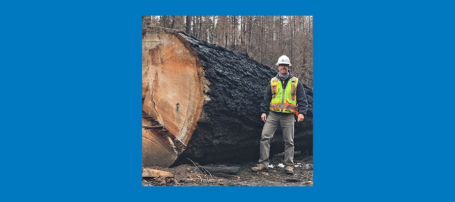 Stan Villiers wearing a white hard hat and high visibility vest standing next to a large log.